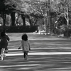 風の子