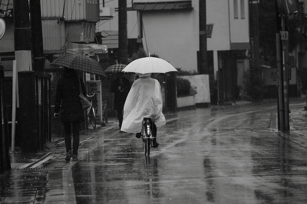 In the rain Ⅱ