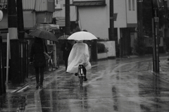 In the rain Ⅱ
