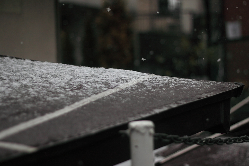 初雪