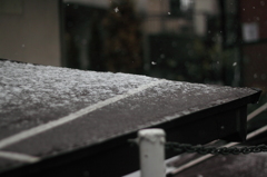 初雪