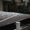 初雪