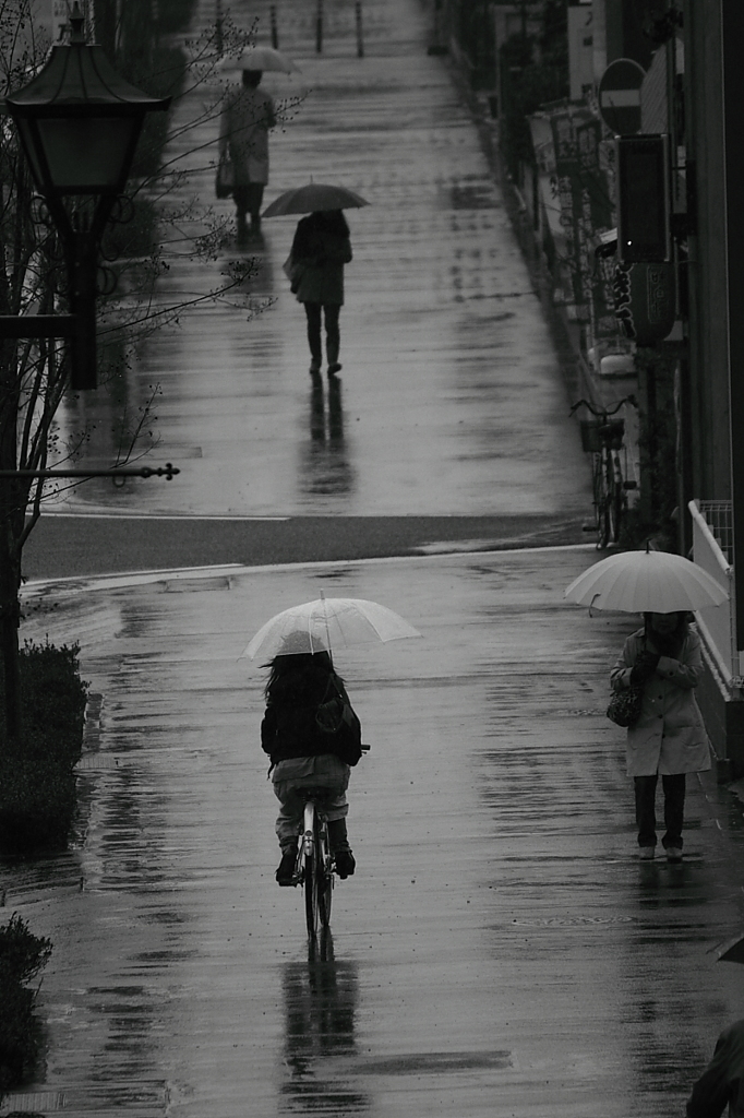 In the rain