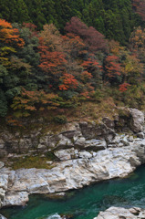 紅葉