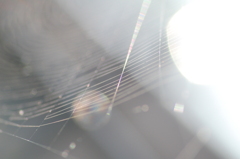 Ｌｉｔｔｌｅ　Ｗｏｒｌｄ・・・