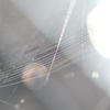 Ｌｉｔｔｌｅ　Ｗｏｒｌｄ・・・