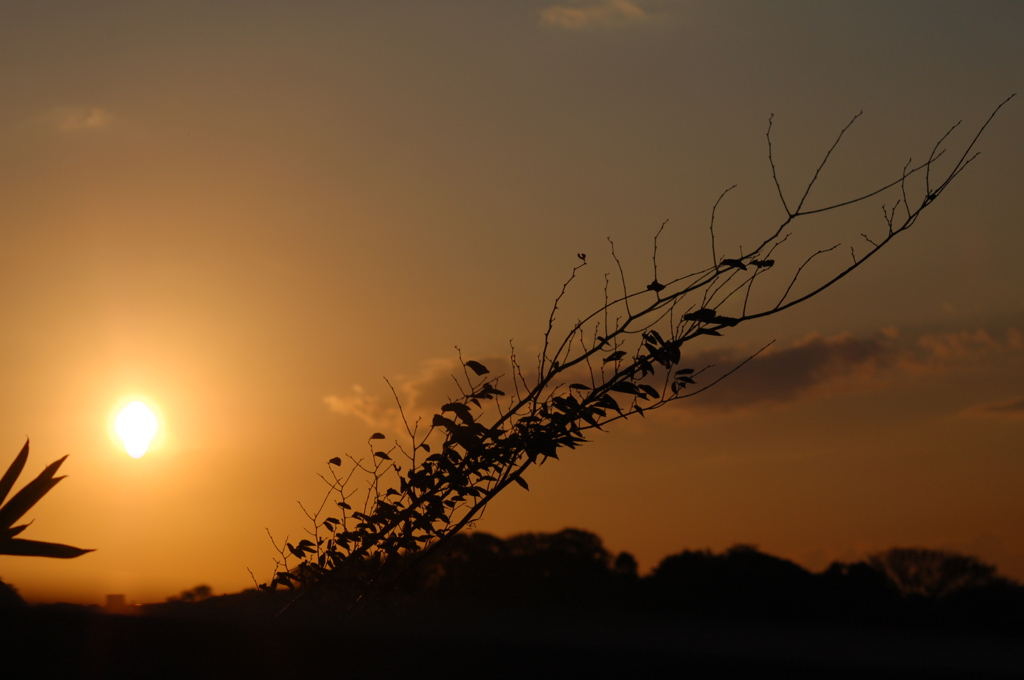 夕の律べ・・・