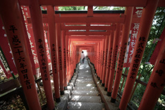 千本鳥居