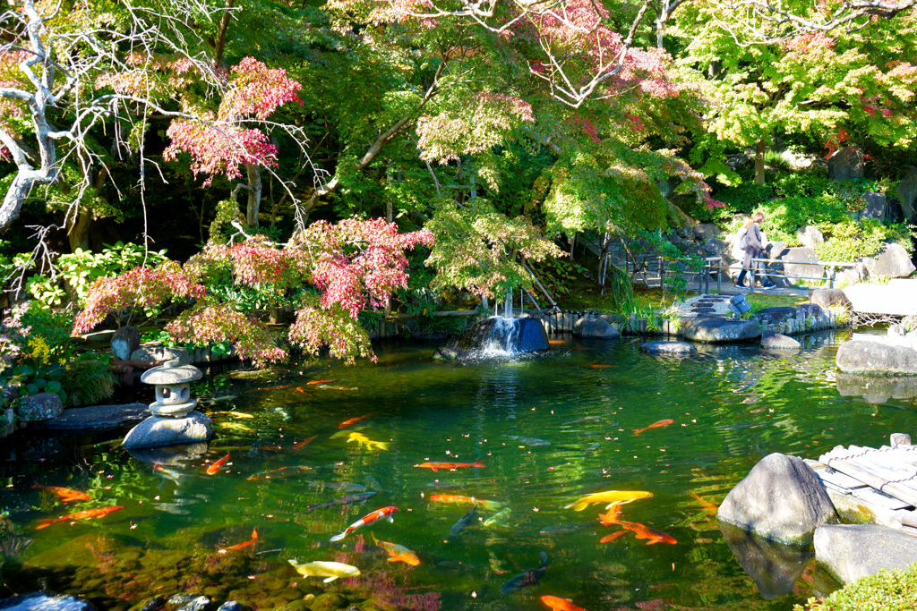 長谷寺 放生池