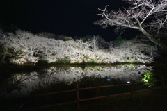 荻野尾御茶屋より