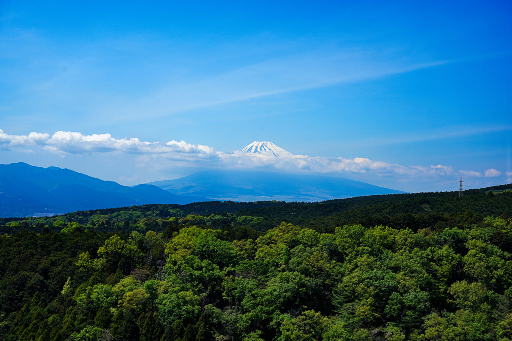 富士山 from 三島スカイウォーク
