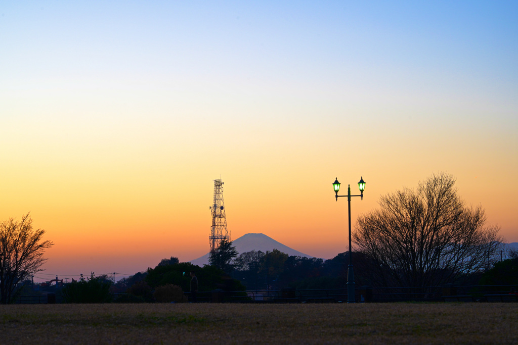 公園からの富士山
