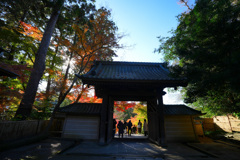 総門と紅葉