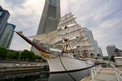 日本丸 展帆
