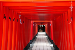 穴守稲荷神社 千本鳥居