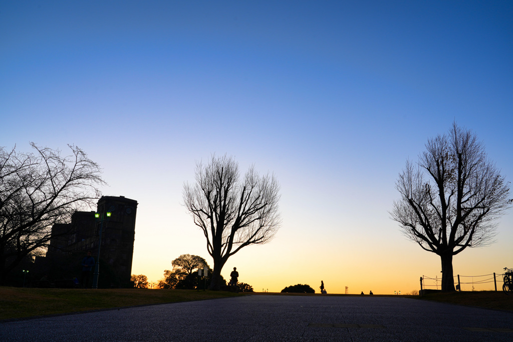 夕暮れ公園