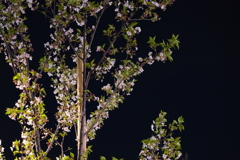 P1042063