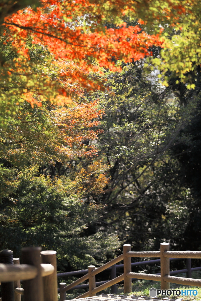 高野山桃山公園