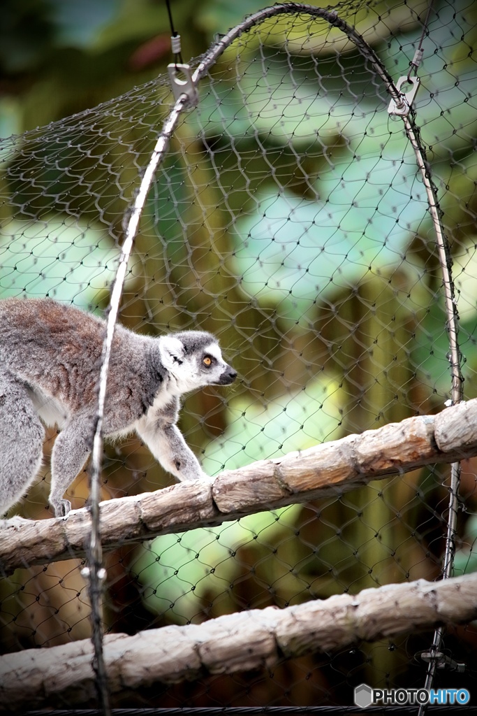 上野動物園