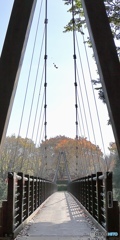 坂田ヶ池総合公園