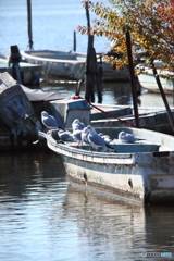 手賀沼公園