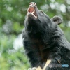 上野動物園