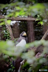 上野動物園