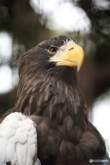 上野動物園