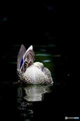 あけぼの山農業公園