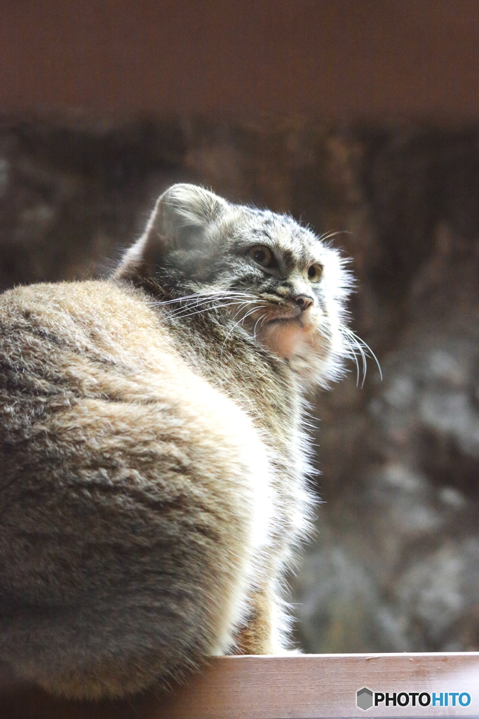 上野動物園