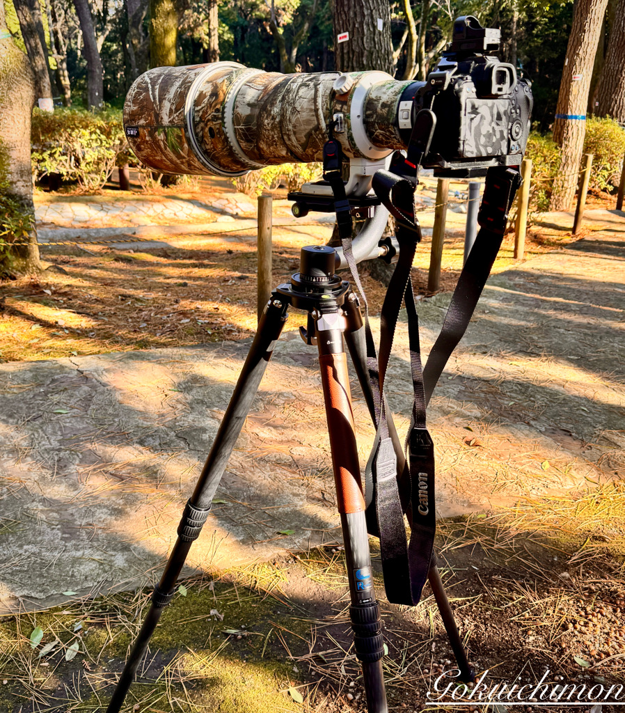 今年頑張ってくれた機材