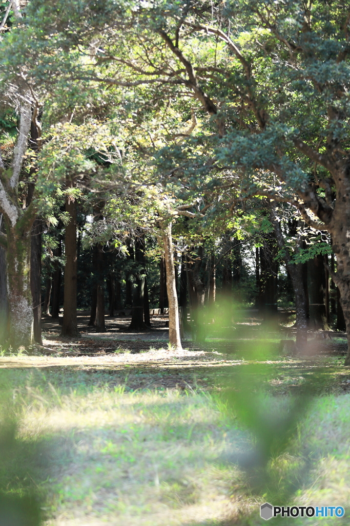 五本松公園