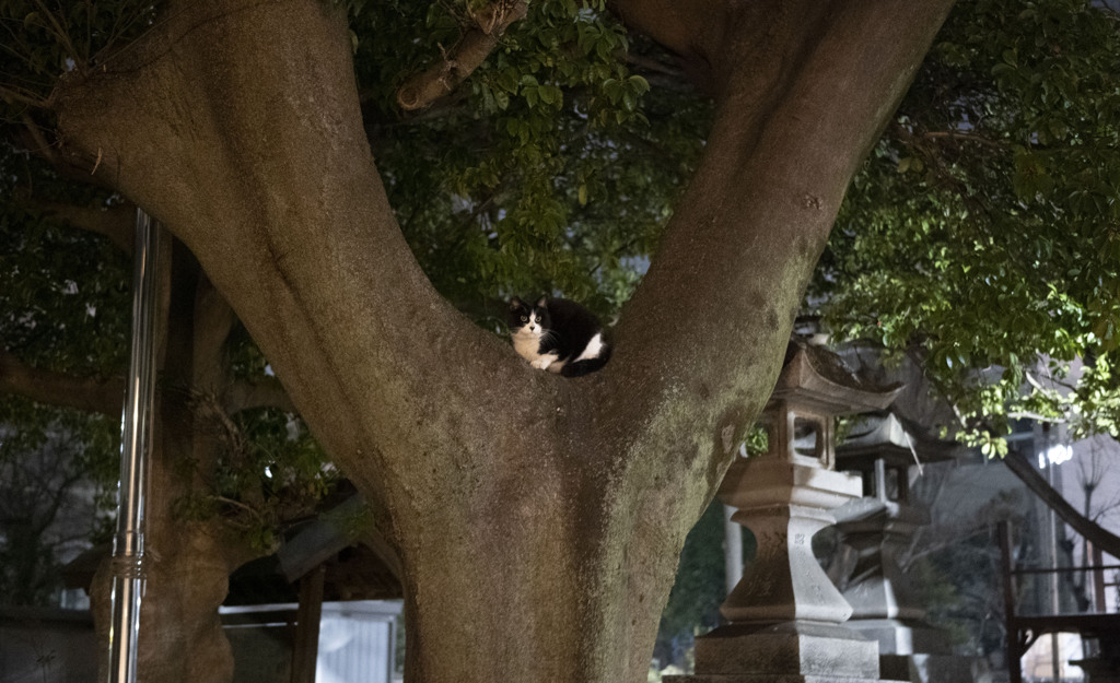 ささしまライブ周辺