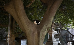 ささしまライブ周辺