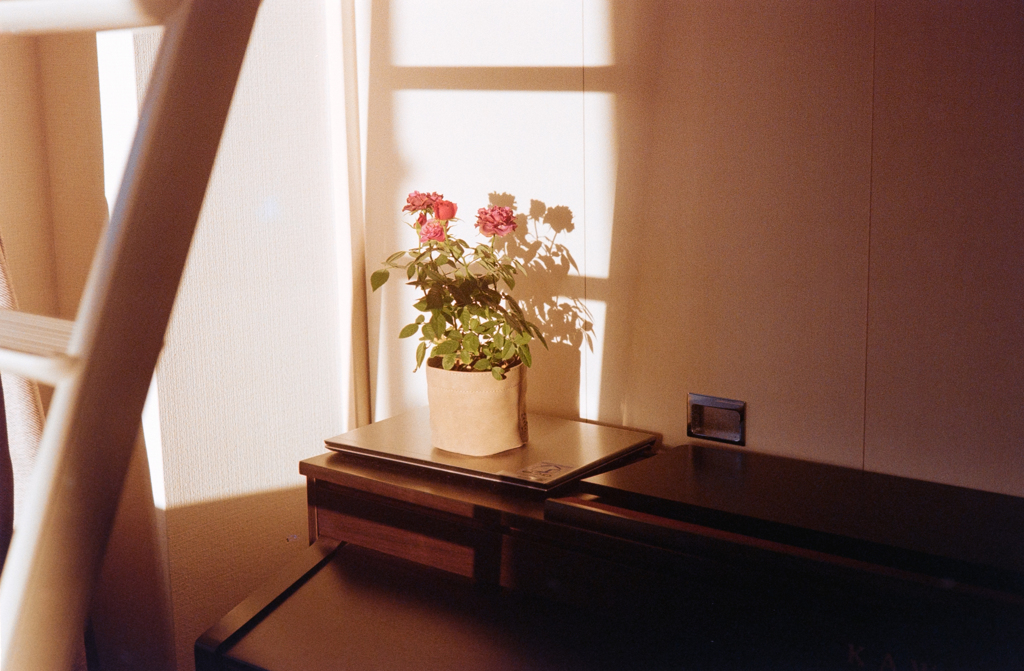 DSC00510
