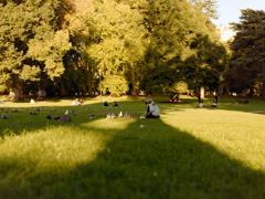 DSC00937
