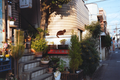 DSC00523