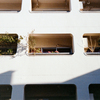 DSC00530