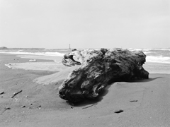 DSC08237