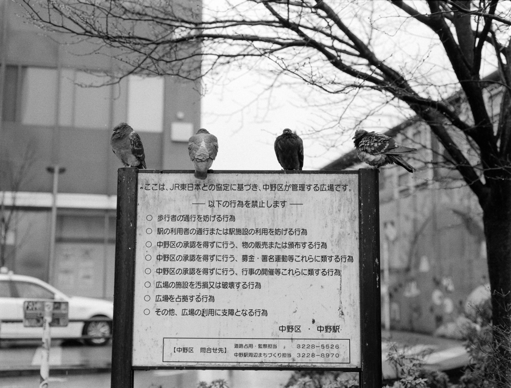 DSC00880