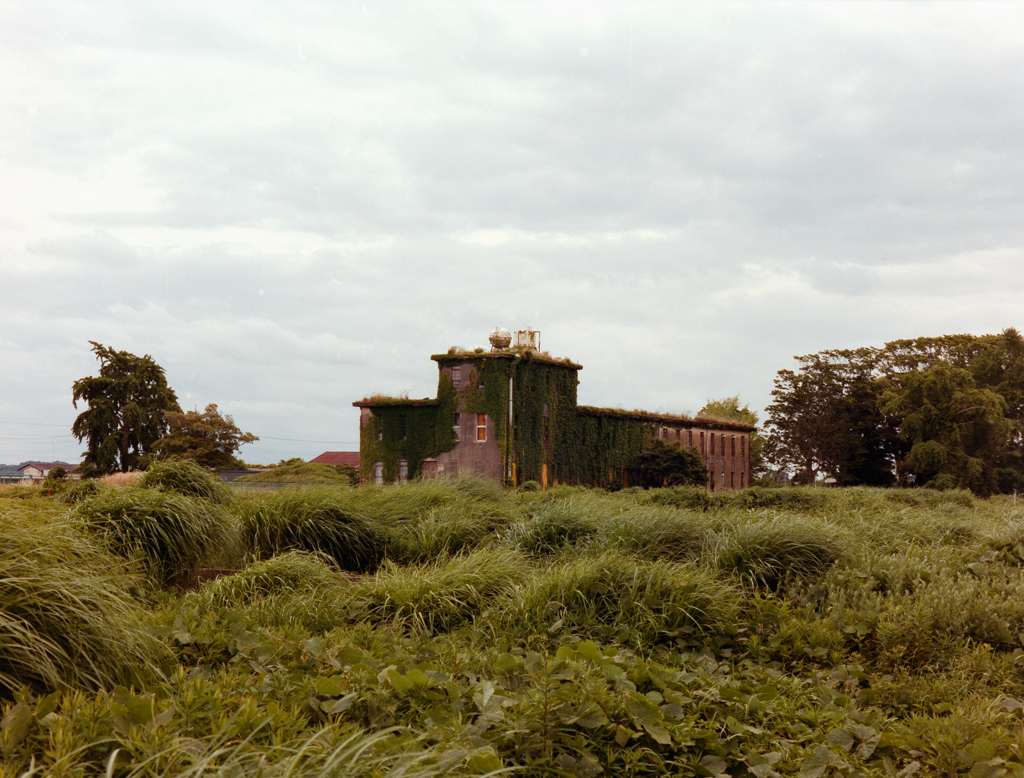DSC00044