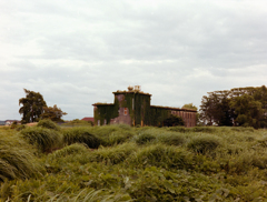 DSC00044