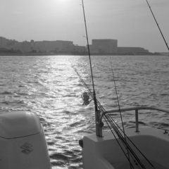 DSC00889