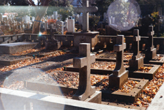 DSC00516
