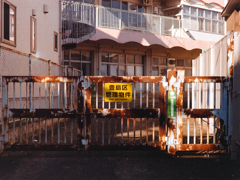 DSC00515