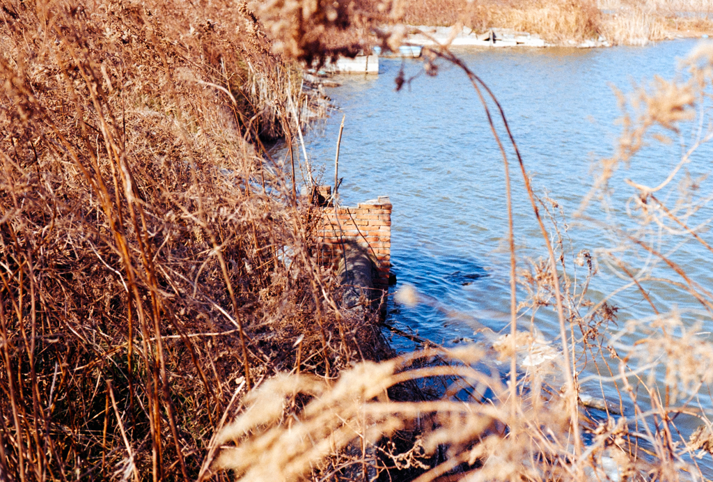 DSC00295