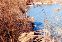 DSC00295