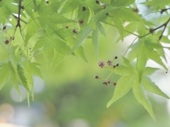 小さな小さな。。大切な思い出