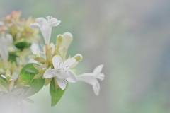 謙虚