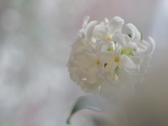 永遠